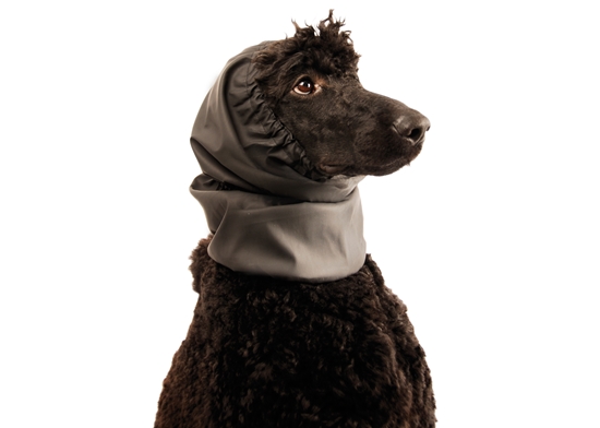 Picture of Show Tech Snood Luxe Large – Water-Resistant Black Ear Cover